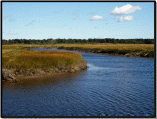 Scarborough_Marsh_saltwater__Maine_USFWS_photo_library.jpg