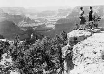 view of the canyon.jpg