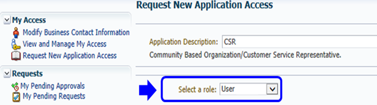 Request New Application Access Page